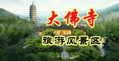 啊好大的鸡巴操死我了视频在线观看中国浙江-新昌大佛寺旅游风景区